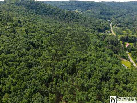 738 Four Mile Road, Allegany, NY 14706
