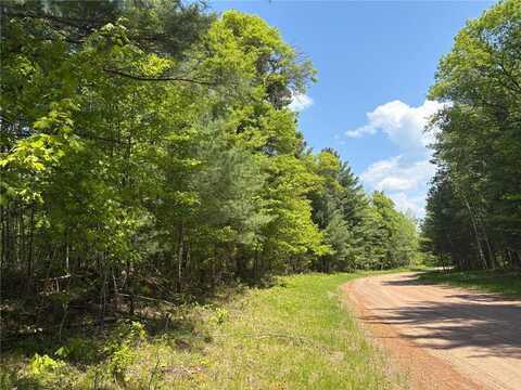Xxxxx Eagle Drive, Jackson Twp, WI 54830