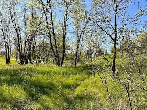 Xxx US-71, Little Sauk Twp, MN 56378