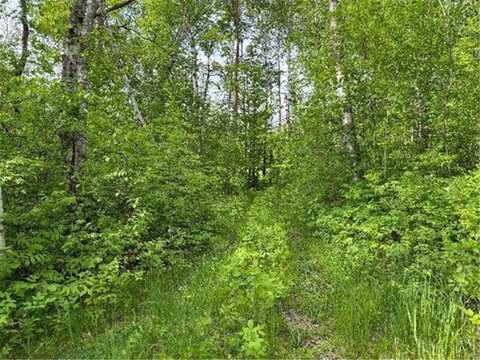 Tbd Co Rd 141, Detroit Lakes, MN 56501