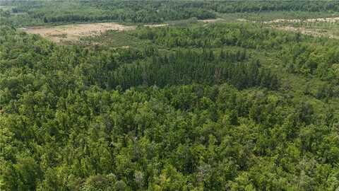 Tbd Speckled Trout Road, Sandstone, MN 55072
