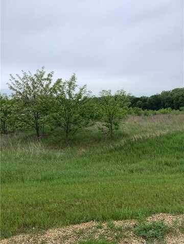 Lot 15 792nd, River Falls, WI 54022
