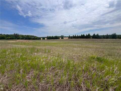 21103 Tippecanoe Street NE, East Bethel, MN 55070