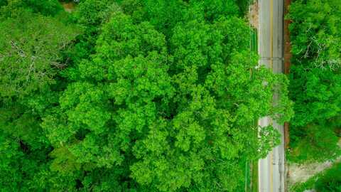 7441 Short Tail Springs Road, Harrison, TN 37341