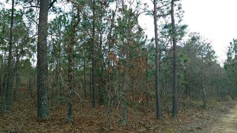 HIGHWAY 137 WEST, BUENA VISTA, GA 31803
