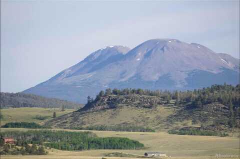 767 Brahma Circle, Hartsel, CO 80449