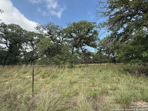 297 Littlehorn, Stockdale, TX 78160