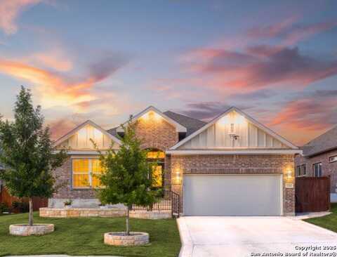12002 Tower Forest, San Antonio, TX 78253