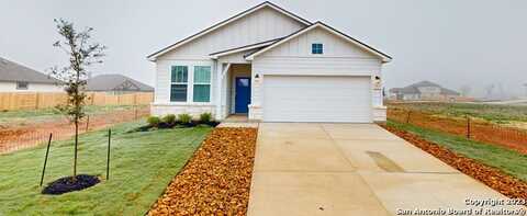 1922 Scare Crow, New Braunfels, TX 78130