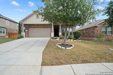 22522 Carriage Bush, San Antonio, TX 78261