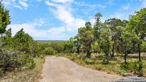 25500 N Cranes Mill Rd, Canyon Lake, TX 78133