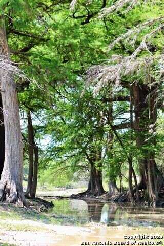 149 Bloodhound, Sisterdale, TX 78006