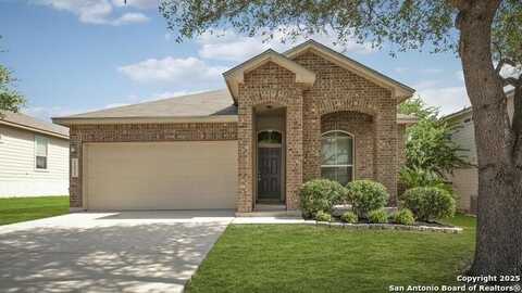 11515 WAYWARD DAISY, San Antonio, TX 78245