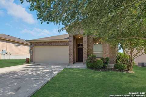 11515 WAYWARD DAISY, San Antonio, TX 78245