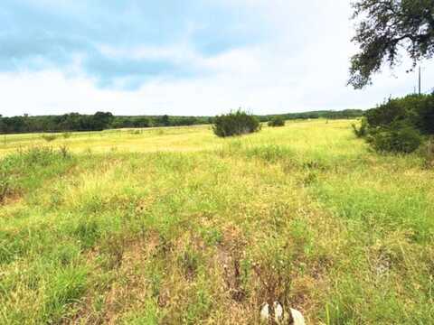 420 George Dolson, Blanco, TX 78606