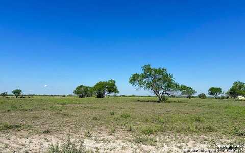 Lot 2 0 CR 197, Falls City, TX 78113