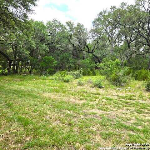 23015 S BREEZE ST, San Antonio, TX 78258