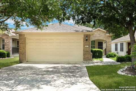 4822 Sandhill Crane, San Antonio, TX 78253