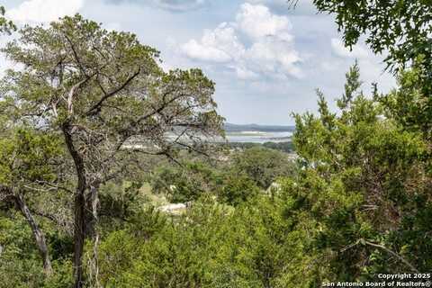 161 Puzzle Pass, Spring Branch, TX 78070