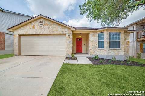 927 Magnolia, San Antonio, TX 78251