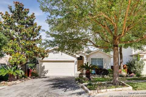 17210 Ashbury Lodge, San Antonio, TX 78247