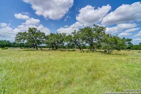 32624 Tierra Robles Drive, Bulverde, TX 78163