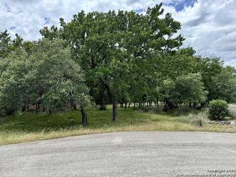 1187 LONG MEADOW, Spring Branch, TX 78070