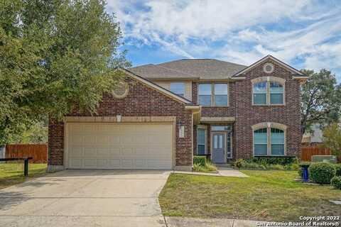 24002 BUCKTHORN PASS, San Antonio, TX 78261