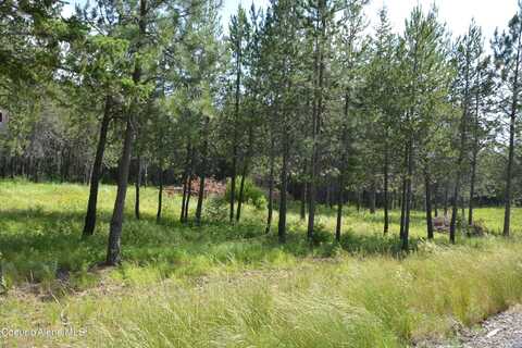 Nka N SYLVAN ROAD ROAD, Athol, ID 83801