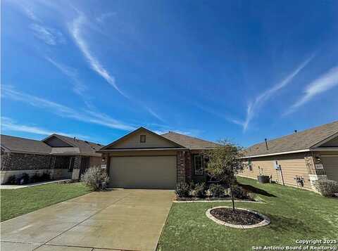 4223 lake ritter, Saint Hedwig, TX 78152