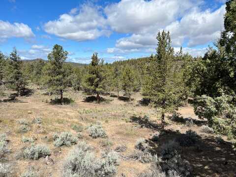 9-2 Lot 312 Mountain Wood Dr, Weed, CA 96094