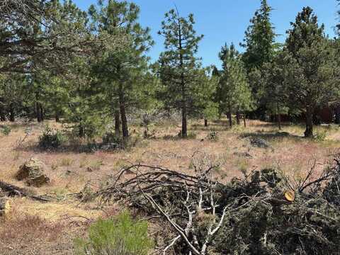 Unit 1 Lot 91 Harborview Dr, Weed, CA 96094