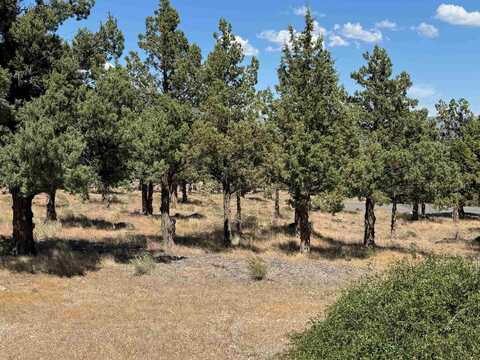 9-1 Lot 114 Wildhorse Pl, Weed, CA 96094