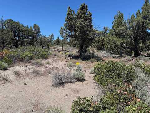 Blk 44 Lot 11 Debbie Dr, Montague, CA 96064