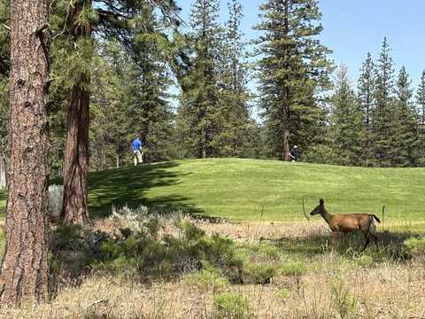 Lot 8 - 9 Harney Court, Weed, CA 96067
