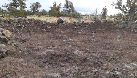 Lot 513 Lakeview Dr, Dorris, CA 96023