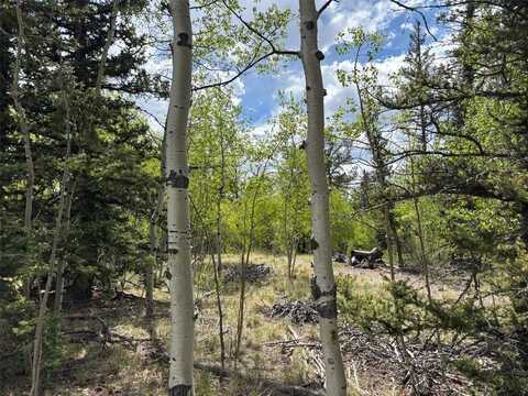 514 CHIEF TRAIL, Como, CO 80432