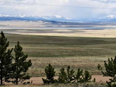 265 HAYSTACK ROAD, Hartsel, CO 80449