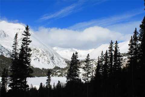 249 GOLDFINCH PLACE, Alma, CO 80420