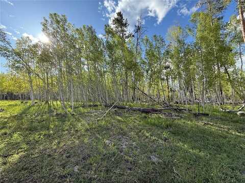 TBD HALTER TRAIL, Oak Creek, CO 80467