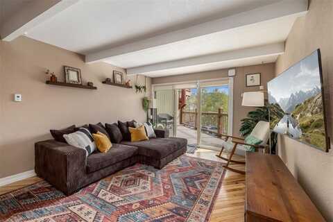 2435 RYAN GULCH COURT, Silverthorne, CO 80498