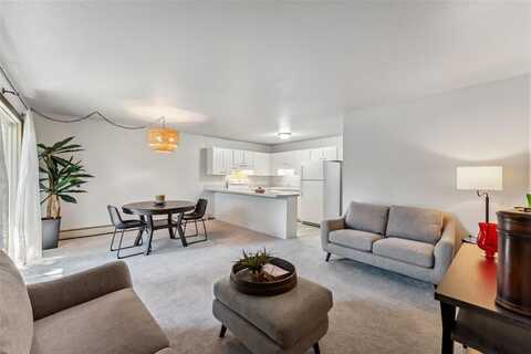 1143 STRAIGHT CREEK DRIVE, Dillon, CO 80435