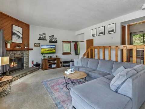 9876 RYAN GULCH ROAD, Silverthorne, CO 80498
