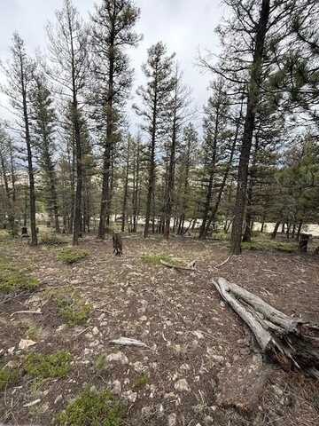2689 REDHILL ROAD, Fairplay, CO 80440