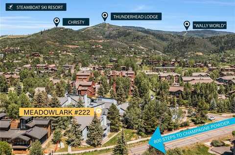 3020 VILLAGE DRIVE, Steamboat Springs, CO 80487