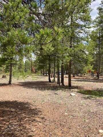 493 & 511 SPRUCE DRIVE, Twin Lakes, CO 81251