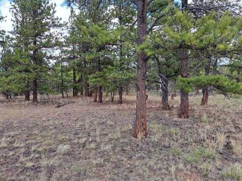 104 CHAP WAY, Hartsel, CO 80449