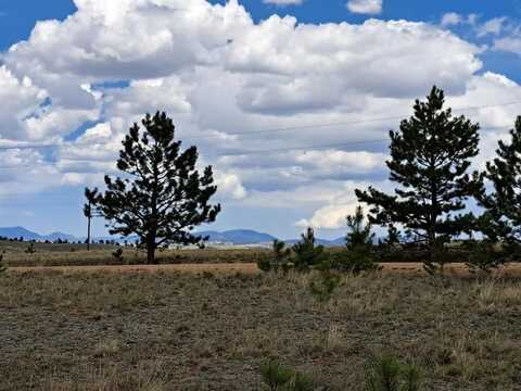 311 HAYSTACK ROAD, Hartsel, CO 80449