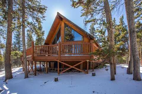 204 SKI DOO ROAD, Fairplay, CO 80440