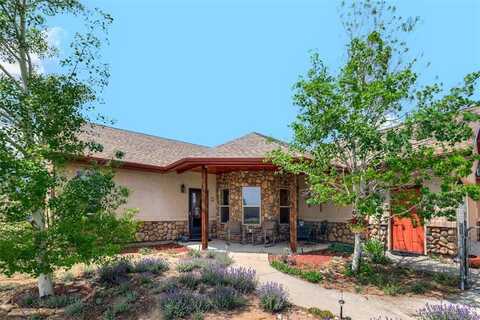 16456 COUNTY ROAD 356-08, Buena Vista, CO 81211